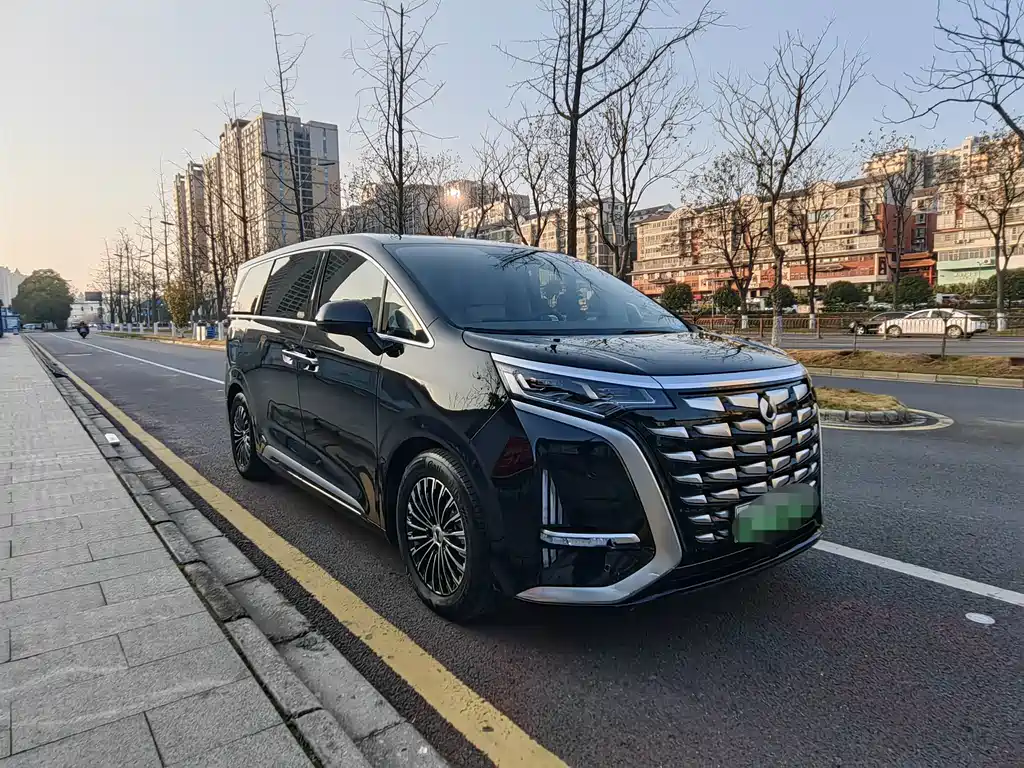 Denza Denza D9 — миниатюра 3