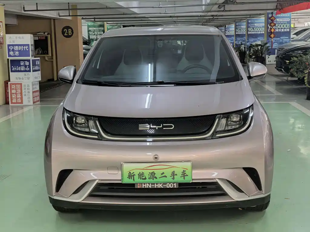 BYD Dolphin - фото 2