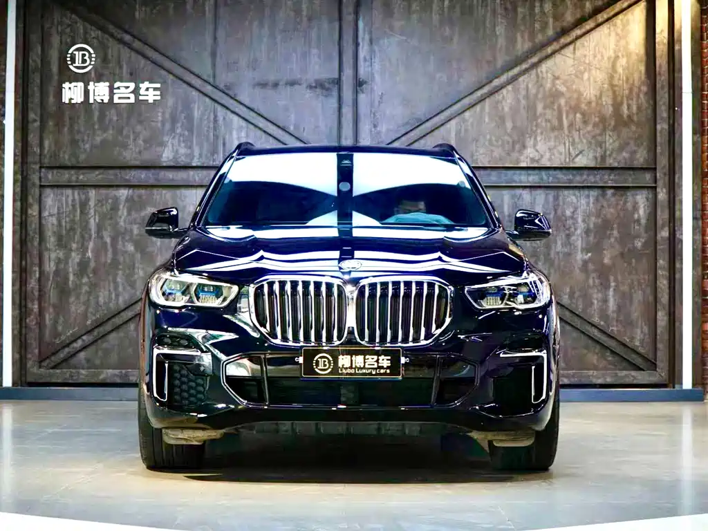 BMW  X5