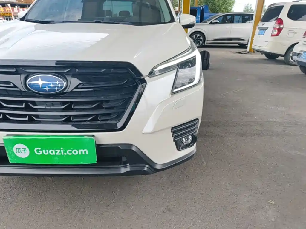 Subaru Forester — миниатюра 24