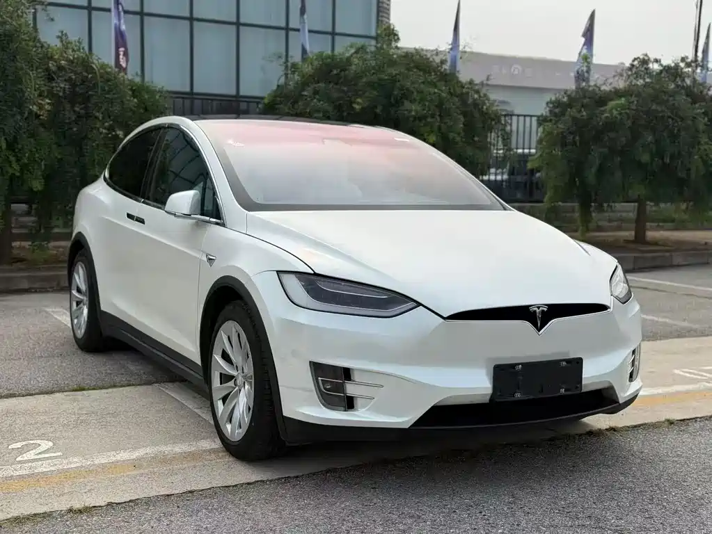Tesla Model X — миниатюра 3