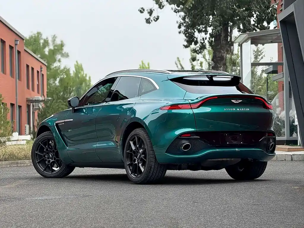 Aston Martin DBX 2022 — фото 18