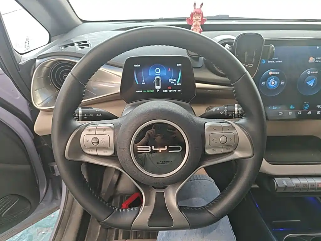 BYD Dolphin — миниатюра 11
