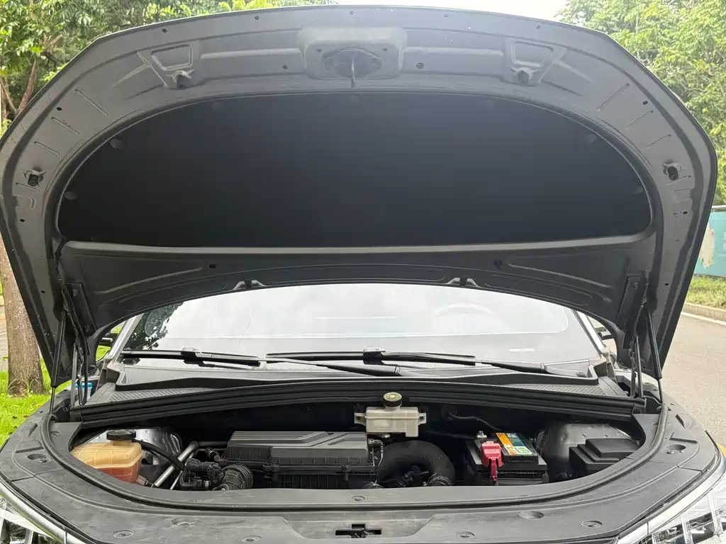 BYD PLUS — миниатюра 16