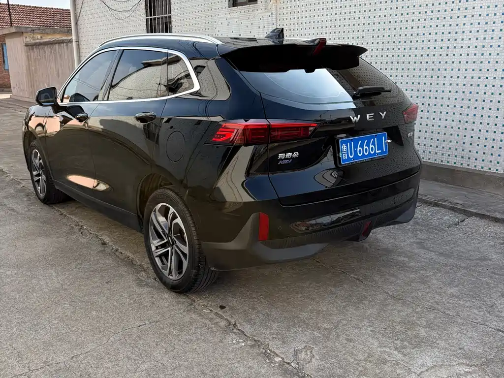 WEI PAI MACCHIATO DHT