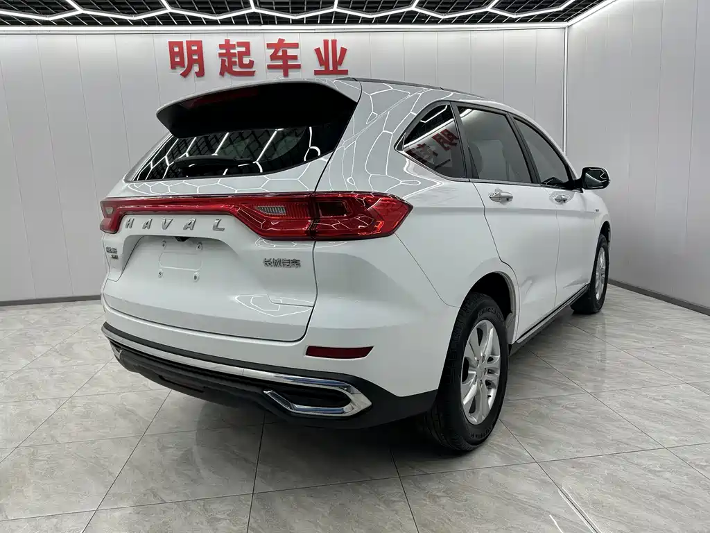 HAVAL M6