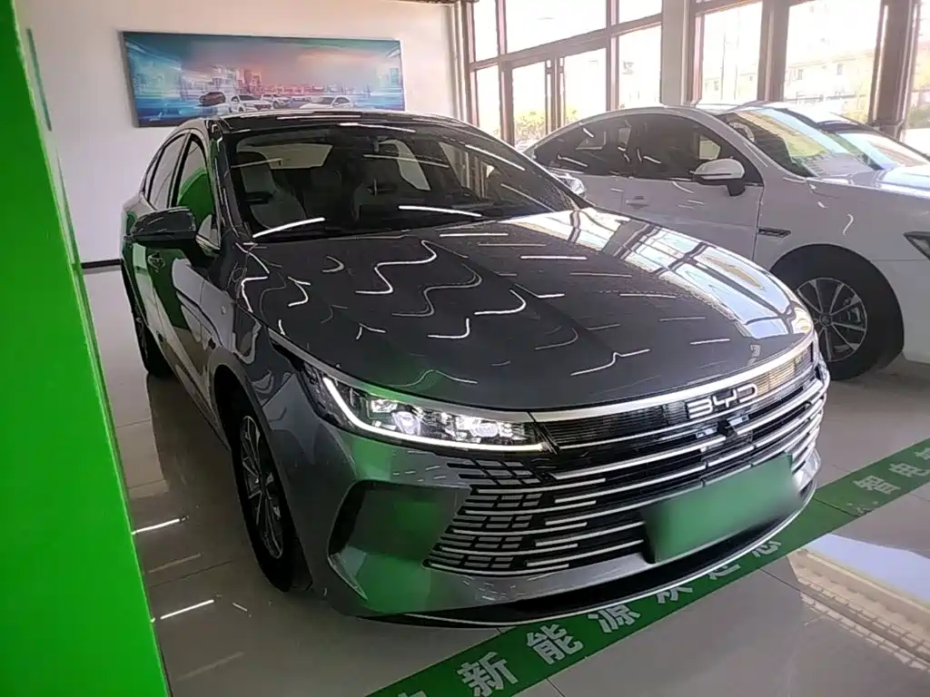 BYD Destroyer 05 — миниатюра 4