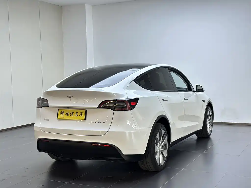 Tesla Model Y — миниатюра 6