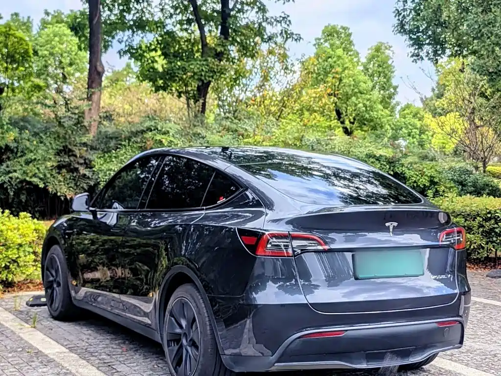 Tesla Model Y — миниатюра 10
