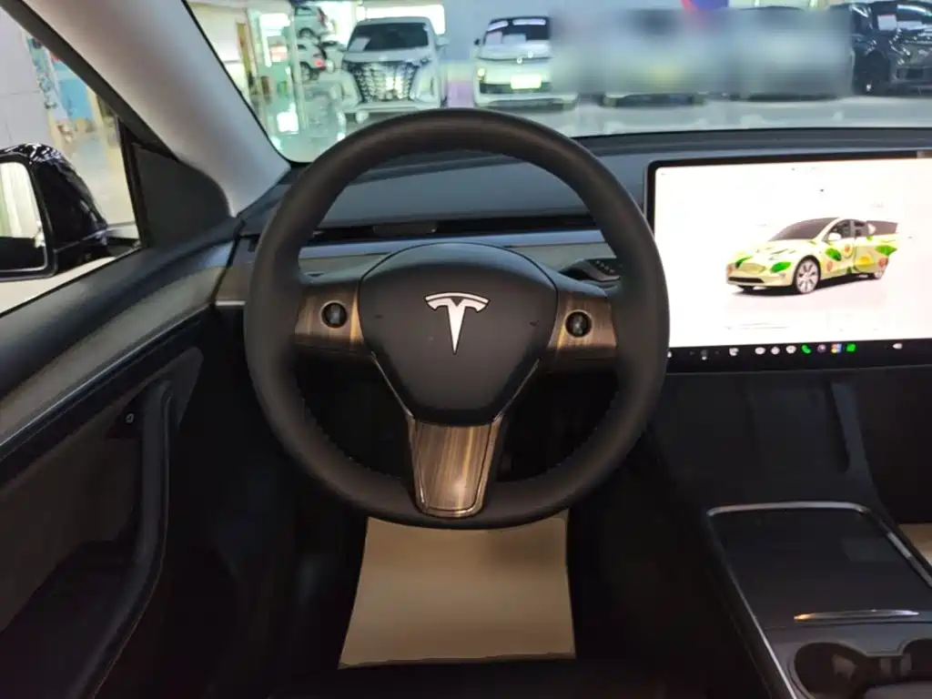 Tesla Model Y — миниатюра 11