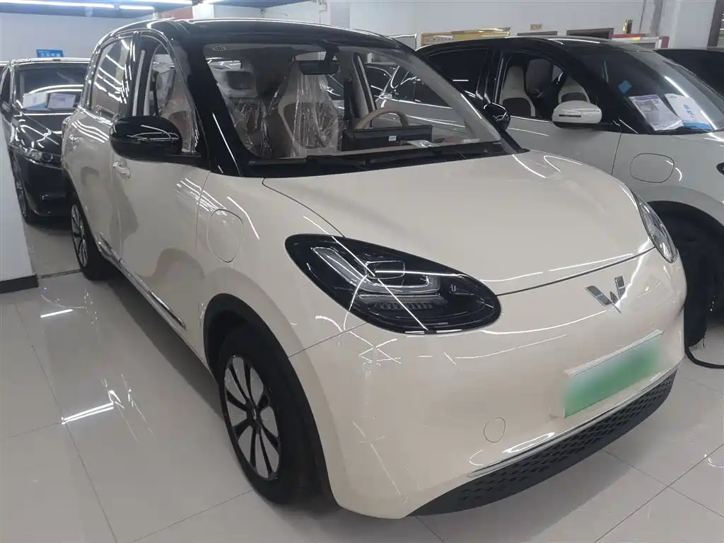 Wuling Binguo 2025 333km Enjoy