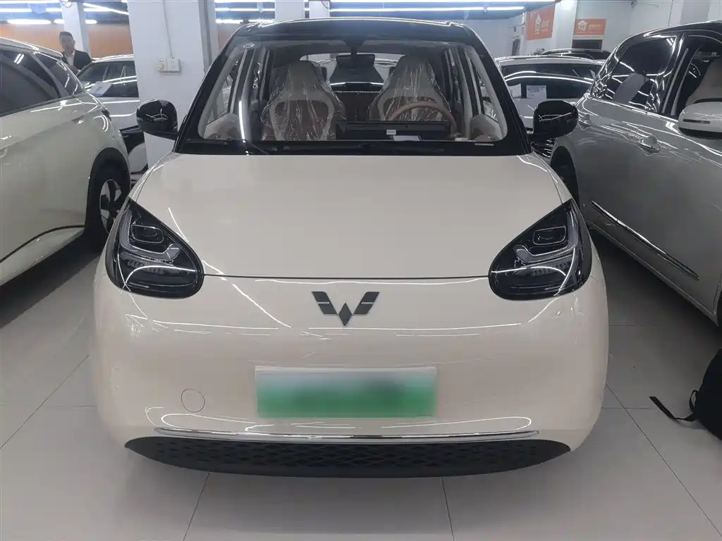 Wuling Binguo 2025 333km Enjoy