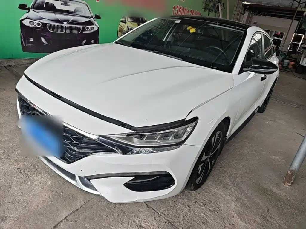 Hyundai Fista — миниатюра 2