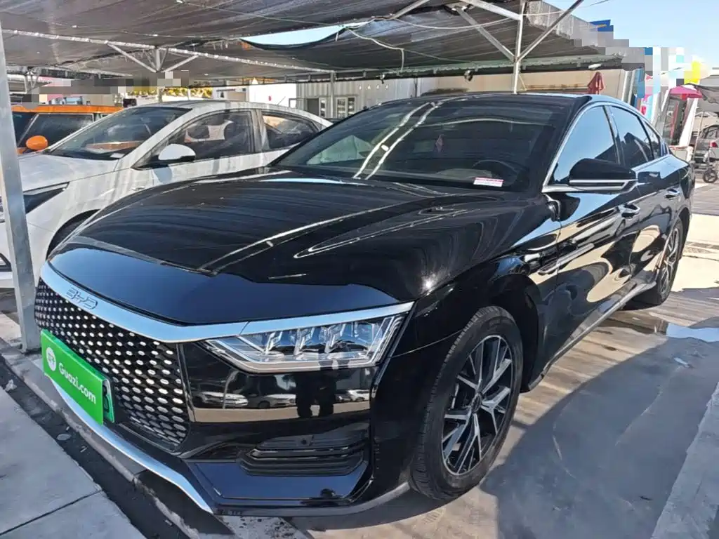 BYD e9 — миниатюра 2