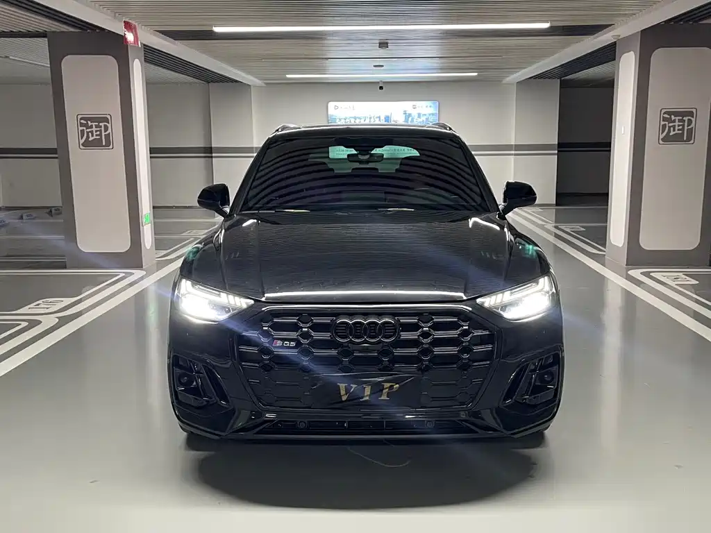 Audi SQ5 — миниатюра 2