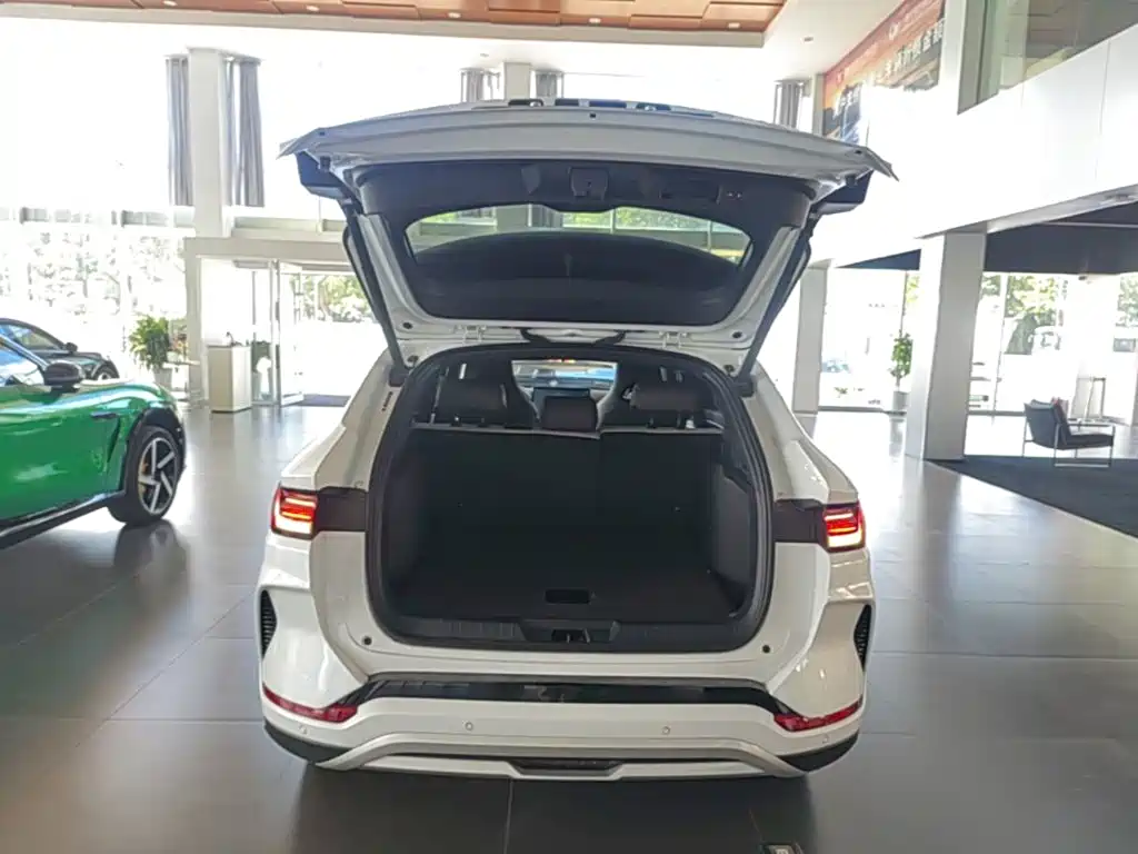 BYD PLUS New Energy — миниатюра 19