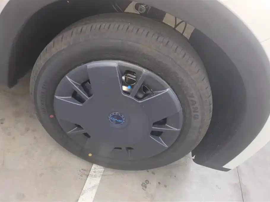 BYD Seagull 2025 305km