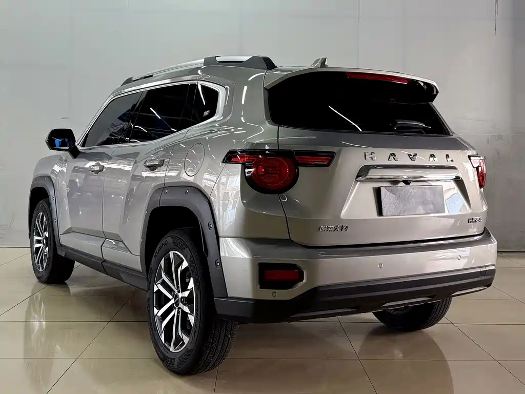 Haval Big Dog PLUS — миниатюра 6