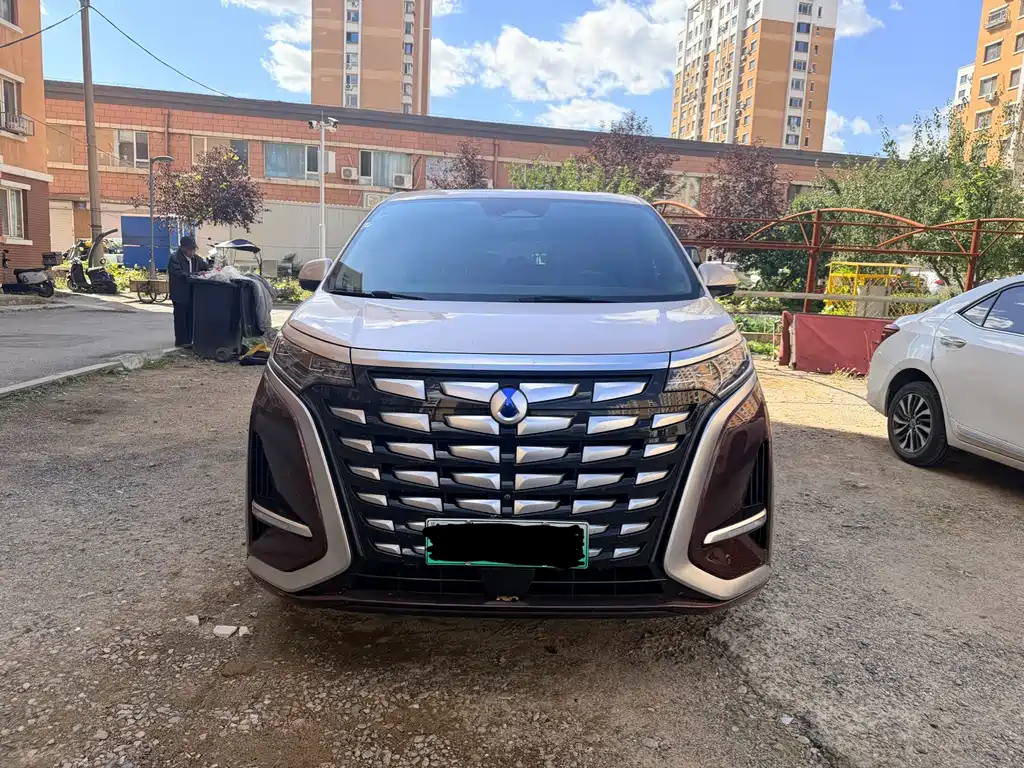 Denza Denza D9 — миниатюра 2