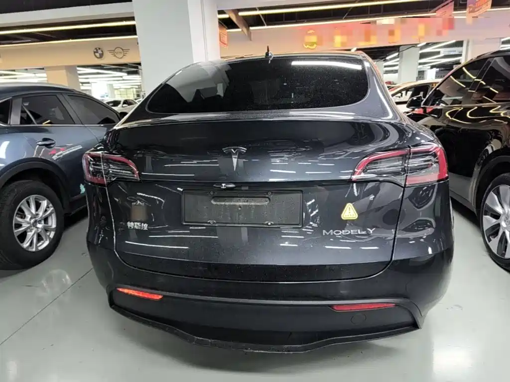 Tesla Model Y — миниатюра 6