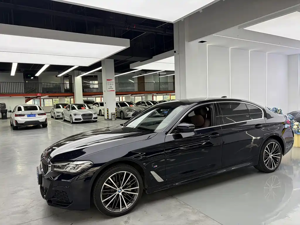 BMW 5 Series — миниатюра 2