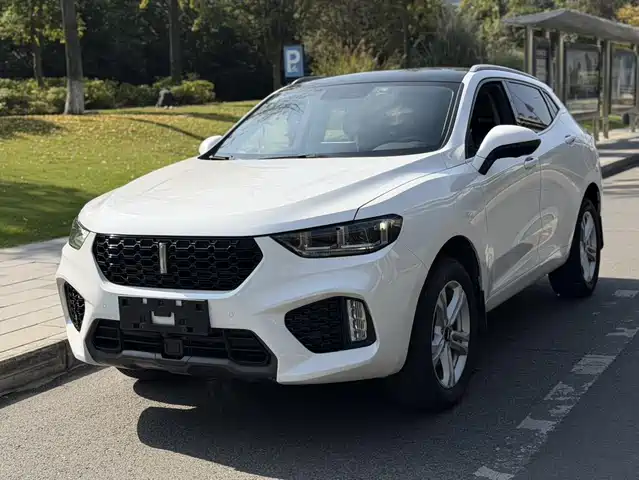 WEI PAI WEI BRAND VV5 2019