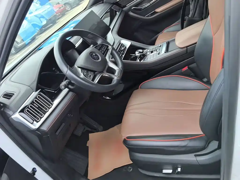 BYD PLUS — миниатюра 15