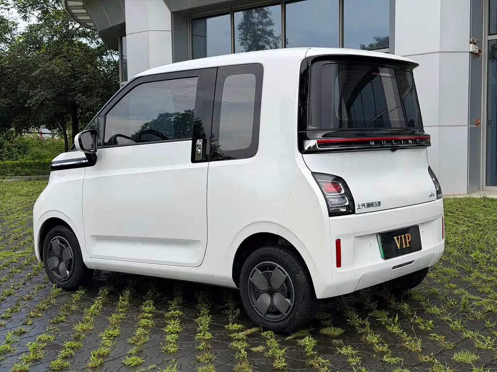 Wuling Air ev 2023 мест- Standard