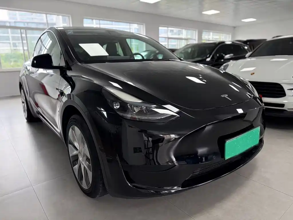 Tesla Model Y — миниатюра 3