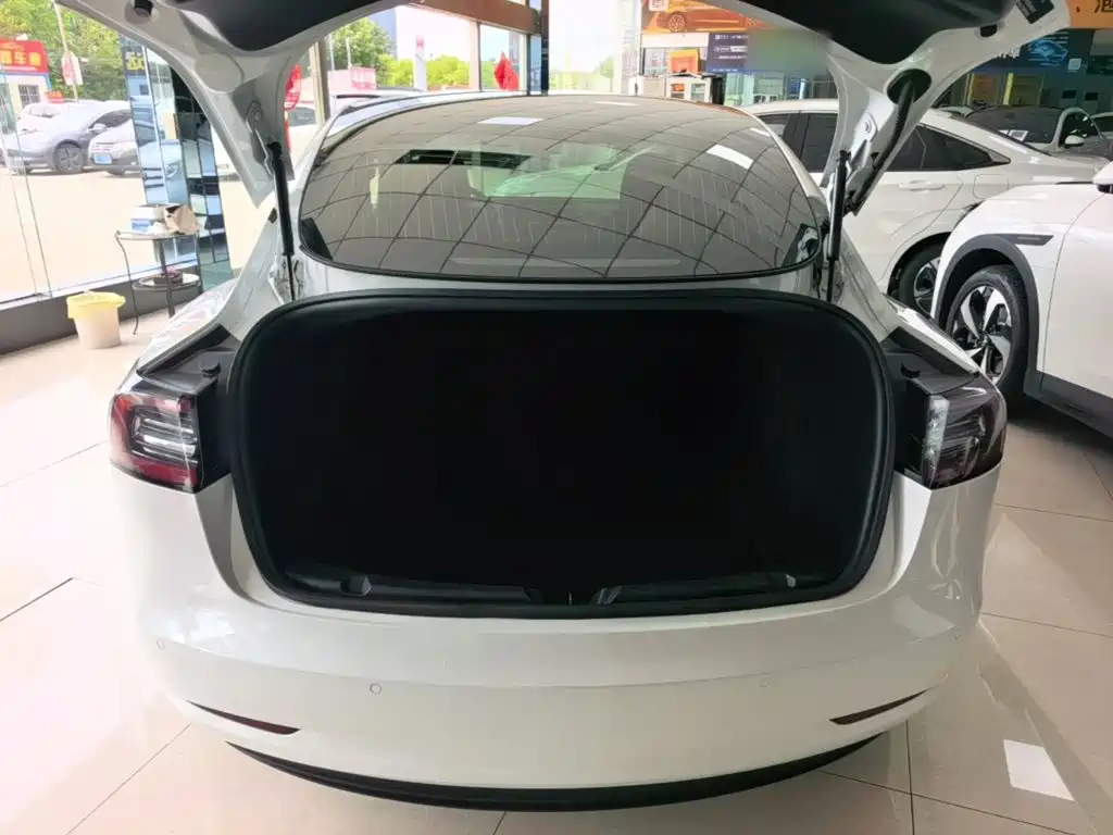 Tesla Model 3 — миниатюра 19