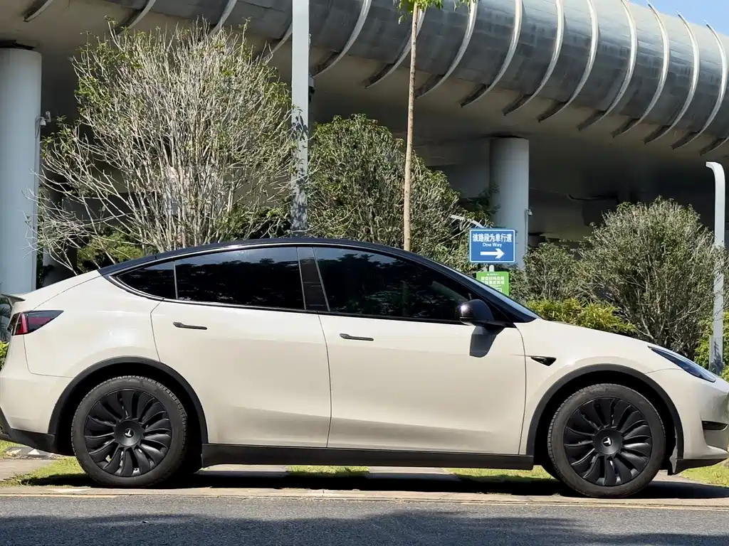 Tesla Model Y — миниатюра 5