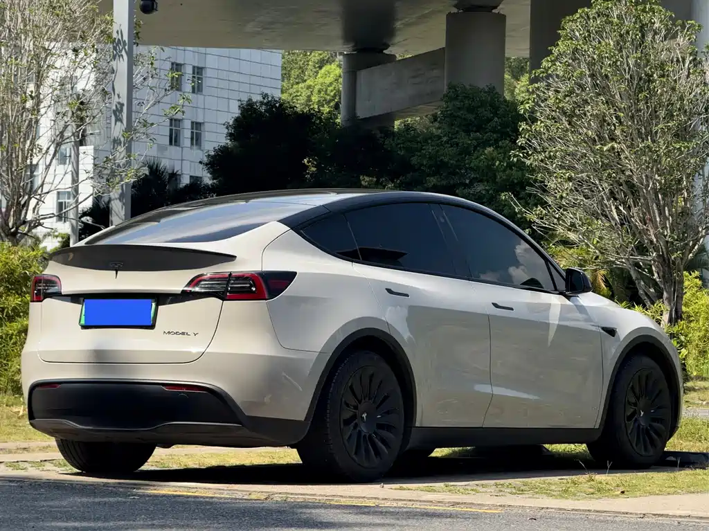 Tesla Model Y — миниатюра 13