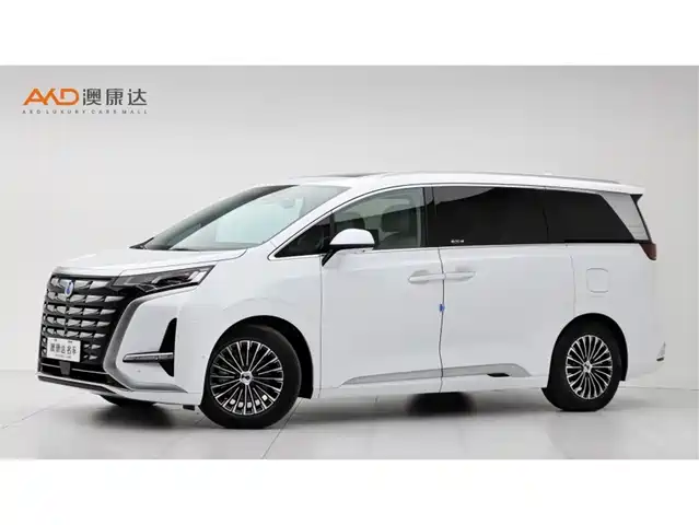 2023 Denza D9