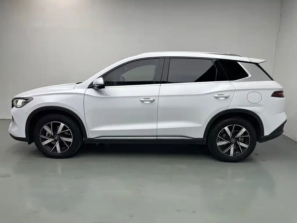 BYD Pro New Energy — миниатюра 3