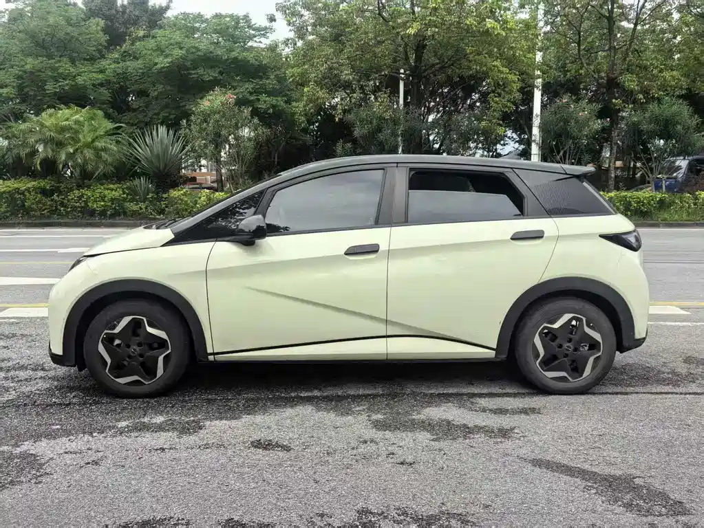 BYD Dolphin 2021 405km Fashion