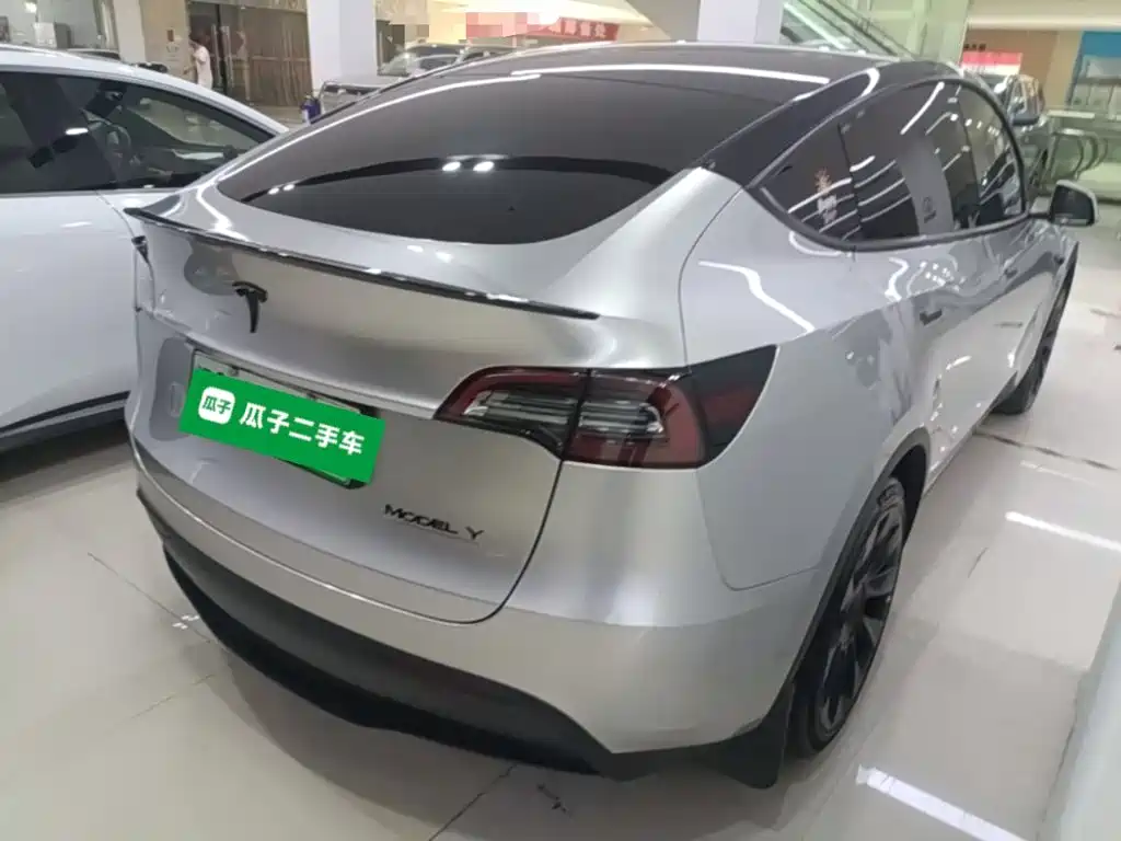 Tesla Model Y — миниатюра 7