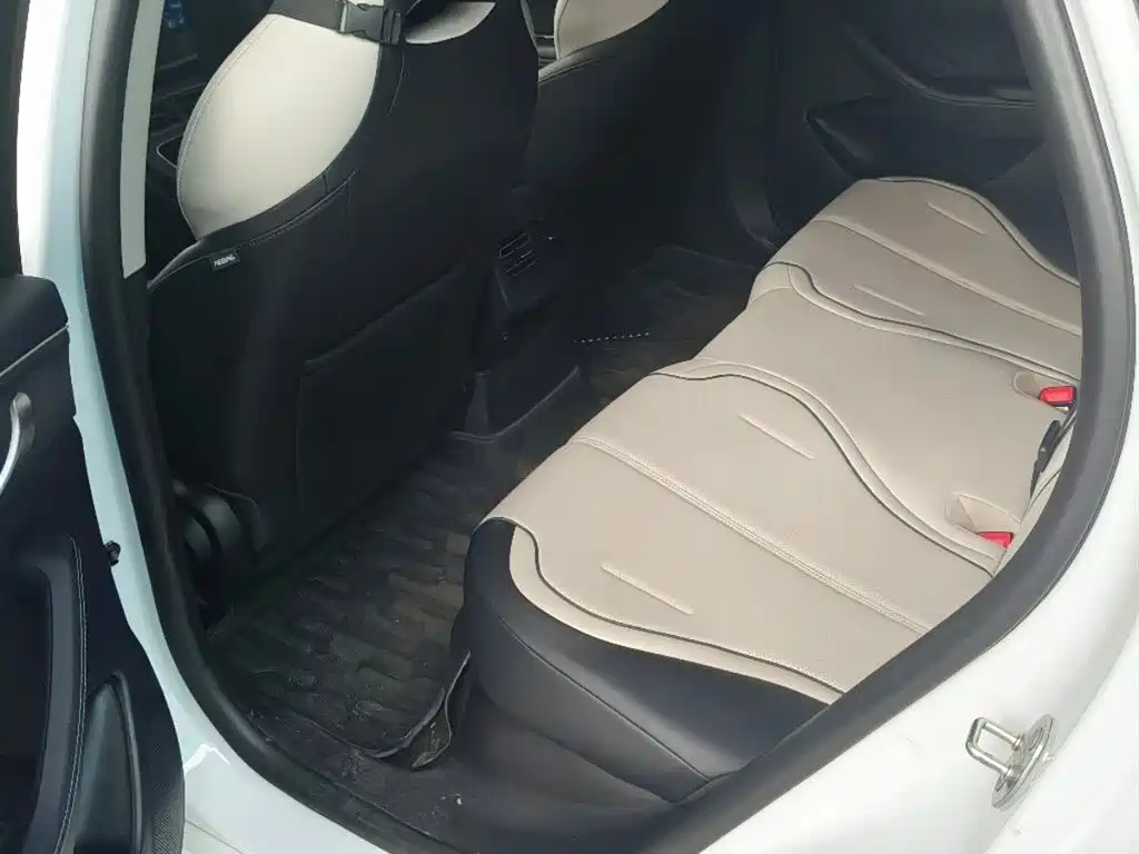 BYD Destroyer 05 2024 DM-i 55KM Luxury