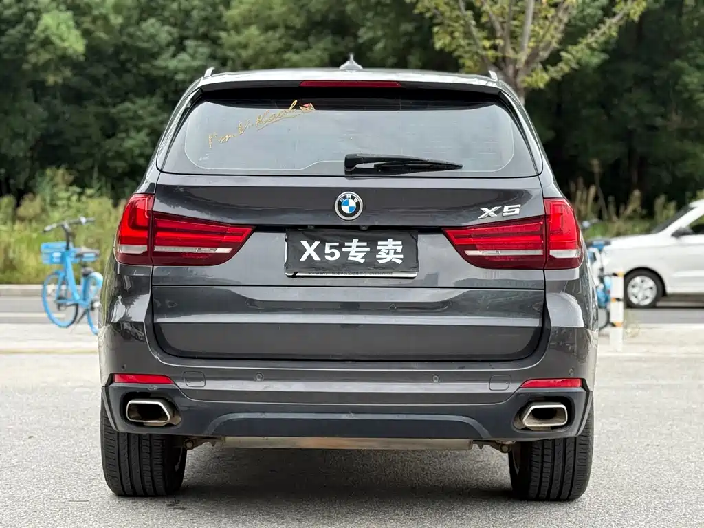 BMW X5 (Import) — миниатюра 5