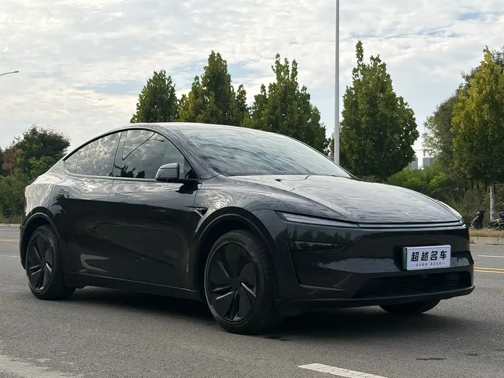 Tesla Model Y — миниатюра 3