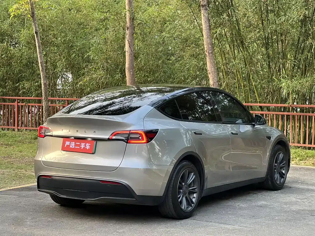 Tesla Model Y — миниатюра 7