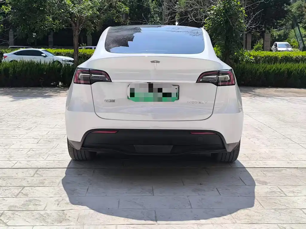 Tesla Model Y — фотографии объявления, Фото 19