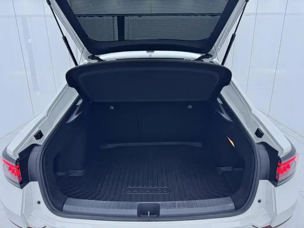 Volkswagen Lamando — миниатюра 17