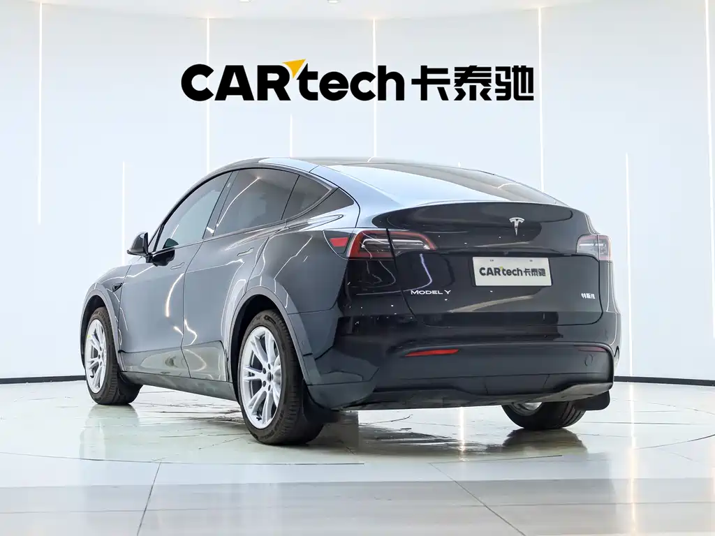 Tesla Model Y — миниатюра 5