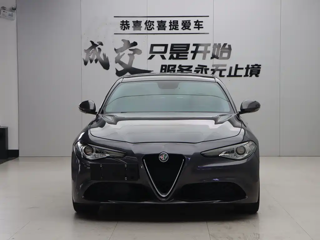 Alfa Romeo Giulia 2.0T 280HP Luxury Edition, фото 2