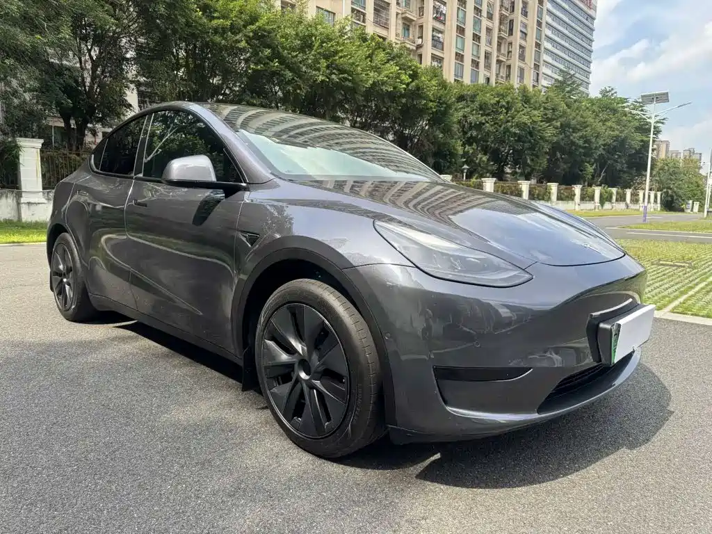 Tesla Model Y — миниатюра 3