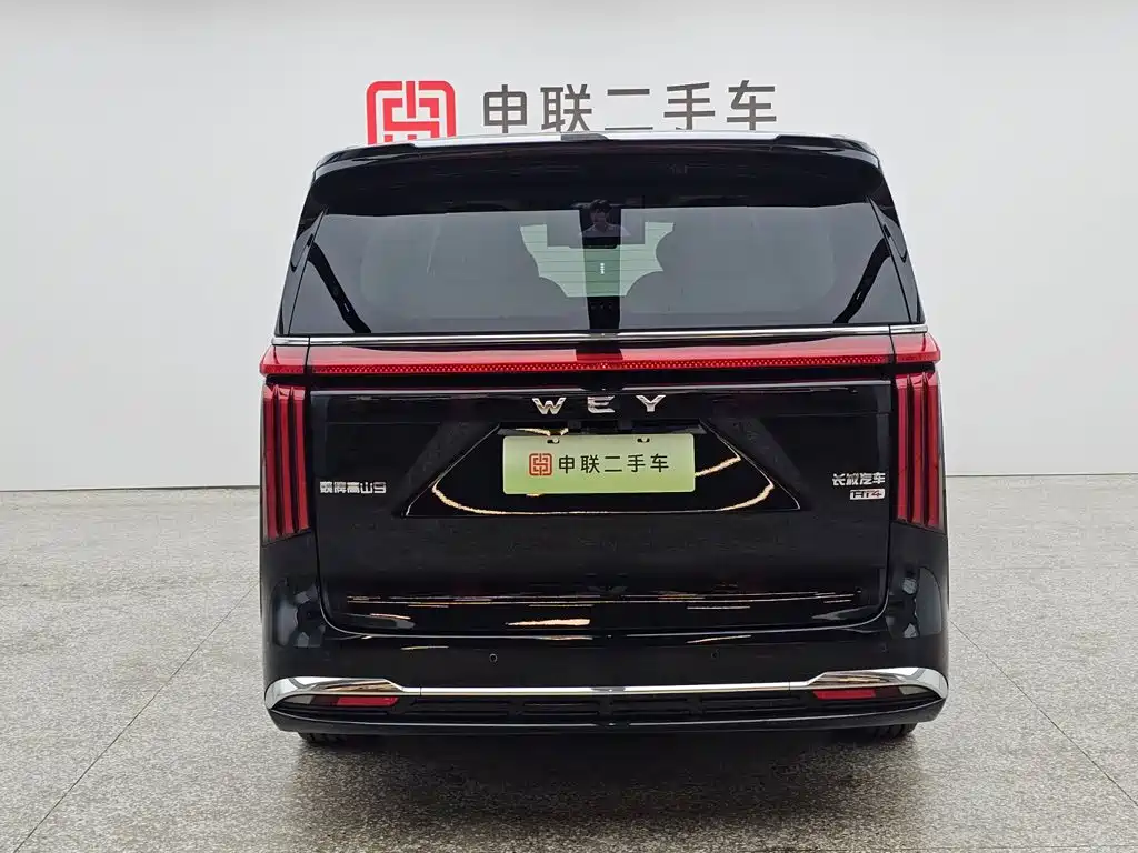 Wey 魏牌 高山新能源 — миниатюра 4