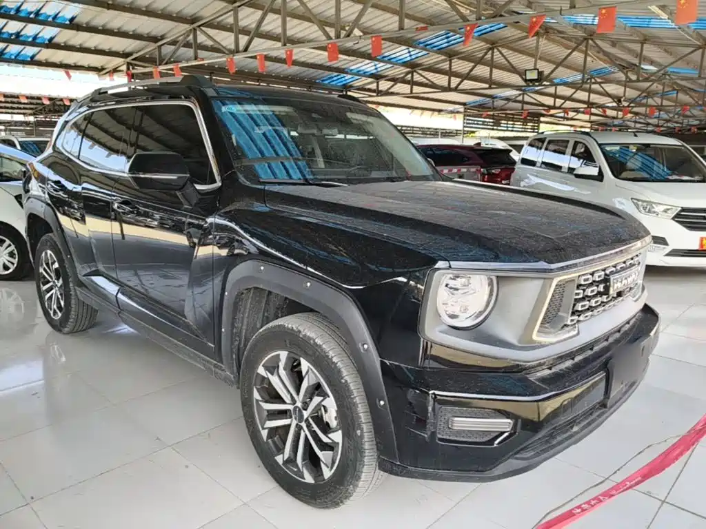 Haval Big Dog PLUS — миниатюра 4