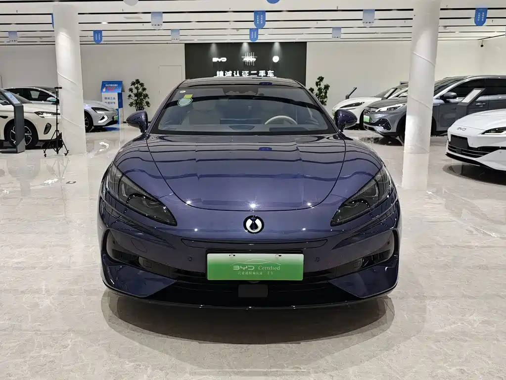 Denza Denza Z9 — миниатюра 2