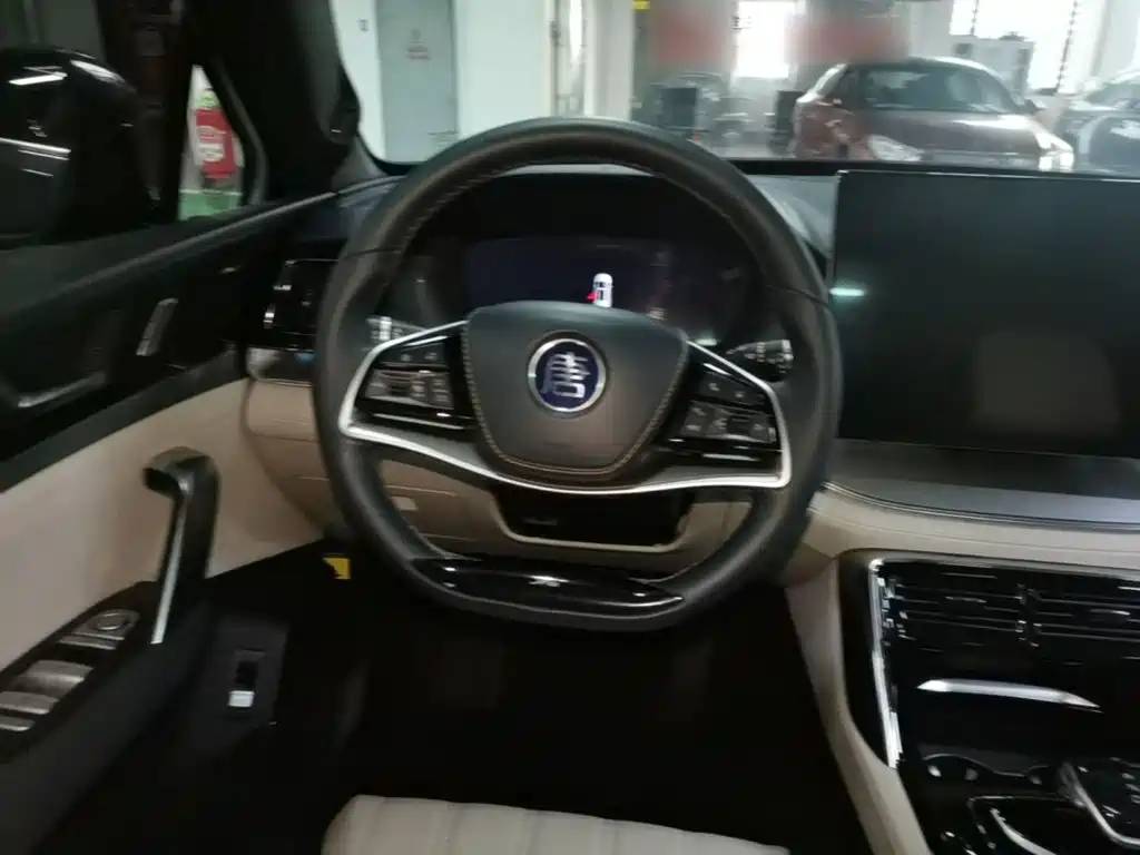 BYD Tang New Energy — миниатюра 11