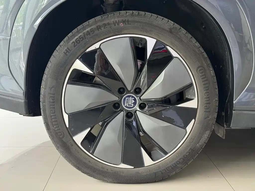 BYD Дон Л. — миниатюра 11